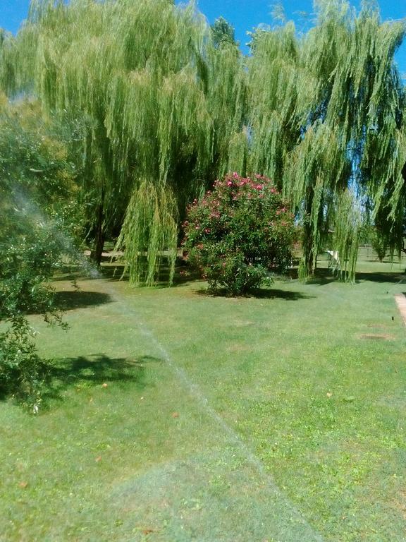 Agriturismo I Bosconi 체세나 외부 사진